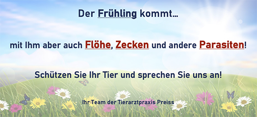 Bild Frühlingsmotiv